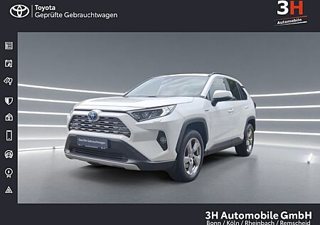 Toyota RAV 4 RAV4 Hybrid Team D * Navi * Tech-Paket * 1.Hand