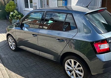 Skoda Fabia 1.2l TSI 66kW Joy Joy