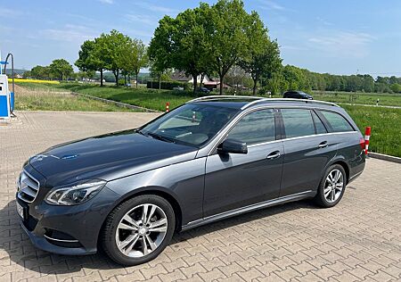 Mercedes-Benz E 220 BlueTEC BE T Edition AVANTG. Auto. Edi...