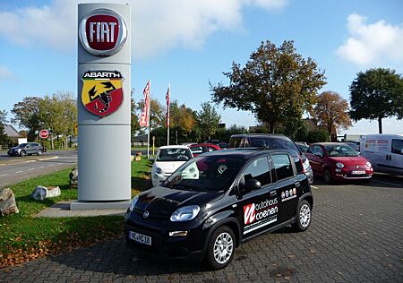 Fiat Panda 1,0 GSE Hybrid ZV Klima usw.