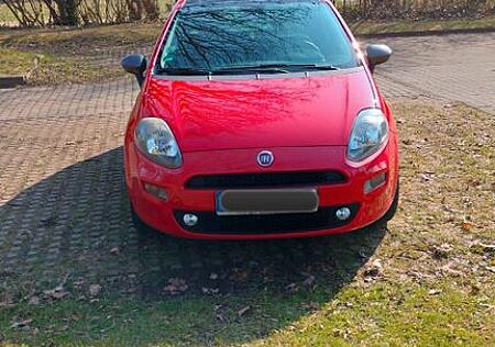 Fiat Punto 1.2 8V YOUNG YOUNG