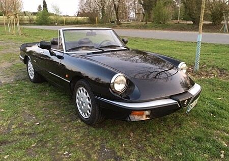 Alfa Romeo Spider 1.6, BJ03/89, 2. Hd. seit 04/90, Original