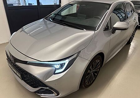 Toyota Corolla Hybrid Team D
