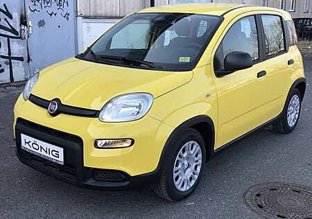Fiat Panda MY24 1.0 Klima PDC Citypaket
