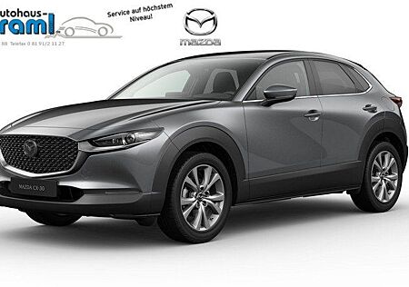 Mazda CX-30 2.5L e-SKYACTIV G 140ps Exclusive-Line ink