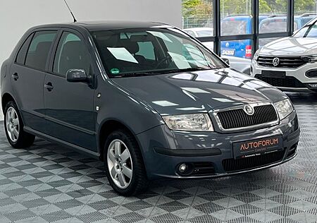 Skoda Fabia Classic _ gepflegt _ sparsam _ zuverlässig