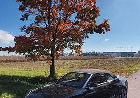 Audi A5 gebraucht kaufen Audi A5 2.7 TDI (DPF) Cabriolet -