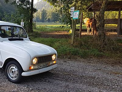 Renault R4 aus Poptugal H-Kennzeichen