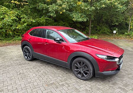 Mazda CX-30 2.0 e-SKYACTIV-X M-Hybrid AWD Homura H...