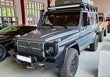 Mercedes-Benz G 300 Professional Edition