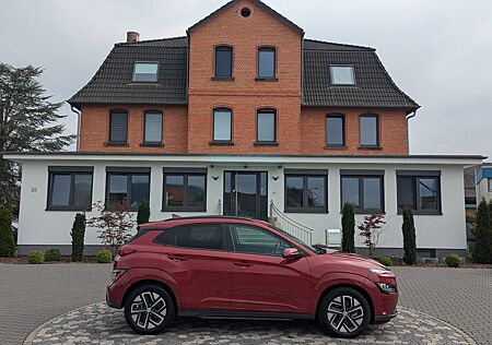 Hyundai Kona Elektro Trend LED ACC NAV CAM WÄMPU KRELL