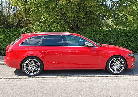 Audi S4 3.0 TFSI S tronic quattro Avant - Brillantrot