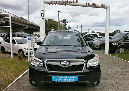 Subaru Forester Exclusive
