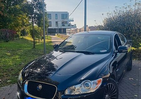 Jaguar XF 3.0 V6 Diesel Luxury Scheckheftgepflegt
