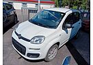 Fiat Panda Benzin/Erdgas (CNG)