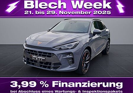 Cupra Terramar VZ 2.0 TSI DSG 4Drive +AKEBONO+PANOD+SE