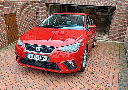 Seat Ibiza 1.0 TGI 90PS 1.Hand 8-fach bereift