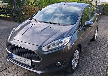Ford Fiesta 1,25 60kW Trend