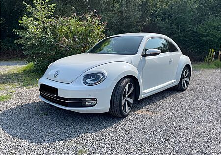 VW Beetle Volkswagen 1.4 TSI -
