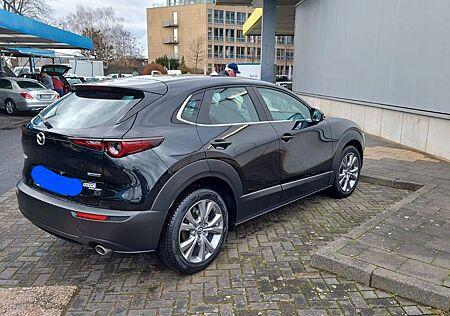 Mazda CX-3 CX-30 Selection TOP-ZUSTAND! 17.000 KM!