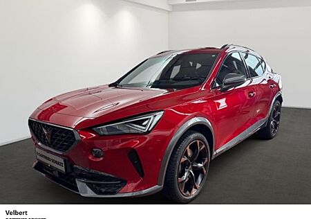 Cupra Formentor VZ 2.0 TSI 180 kW (245 PS) Rückf