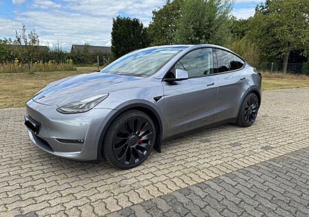 Tesla Model Y Performance