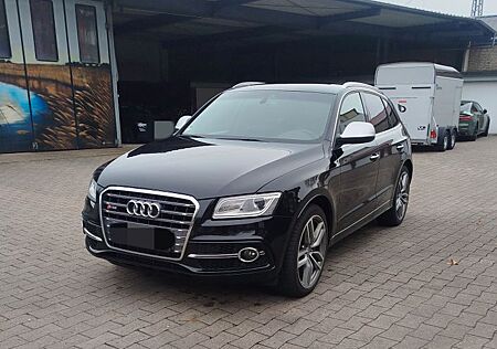 Audi SQ5 3.0 TDI quattro - Top Zustand