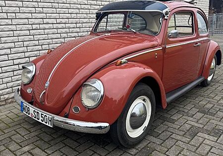 VW Käfer Volkswagen