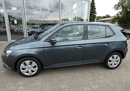 Skoda Fabia Ambition*SHZ*KLIMA*SD*