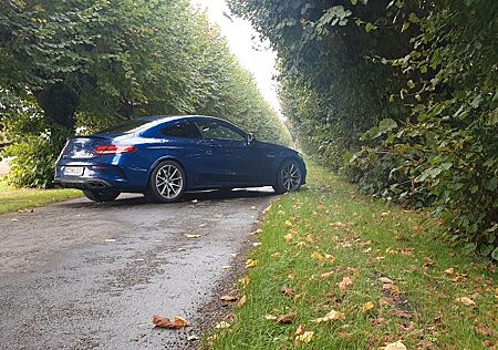 Mercedes-Benz C 63 AMG Mercedes-AMG C 63 Perf. Abgasanlage