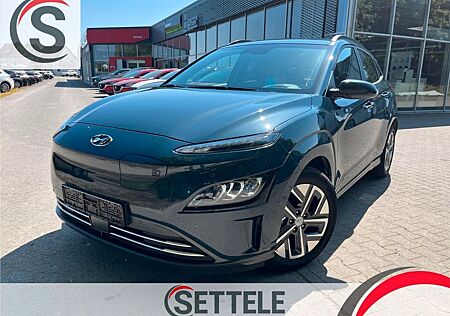 Hyundai Kona Trend Elektro Assistenz I Navi I Allwetter