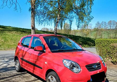 Kia Picanto 1.1 Vision Vision