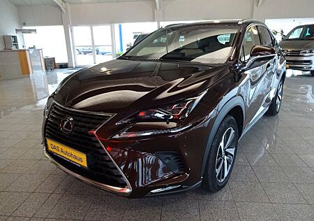 Lexus NX 300 NX 300h E-FOUR Luxury Line Leder Beige