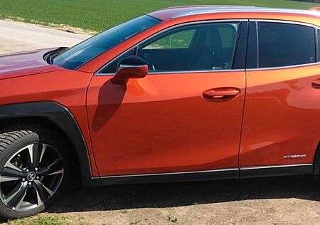 Lexus UX 250h STYLE EDITION ACC FLA PARKASS. LM