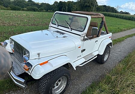 Jeep Wrangler 4.0 YJ