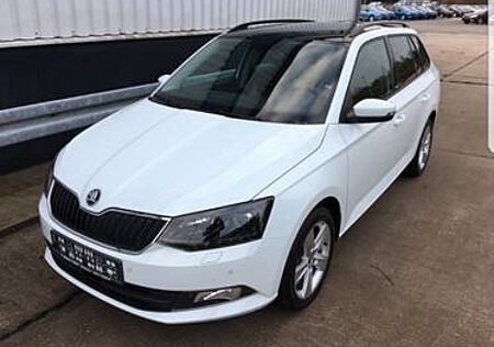 Skoda Fabia 1.2l TSI 66kW Joy AHK Pano Shz