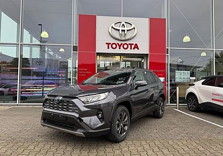 Toyota RAV 4 RAV4 2.5 D Team Deutschland LED PDC SHZ
