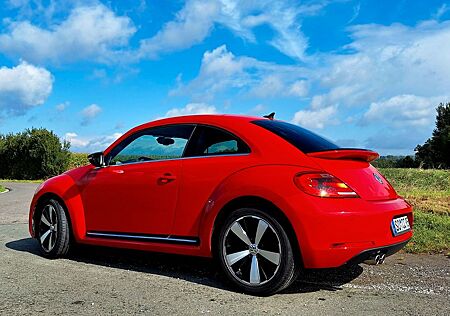 VW Beetle Volkswagen 1.4 TSI Fender Edition , Vollleder