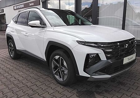 Hyundai Tucson 1.6 T-GDi PANO VOLL LED TOTWINKEL