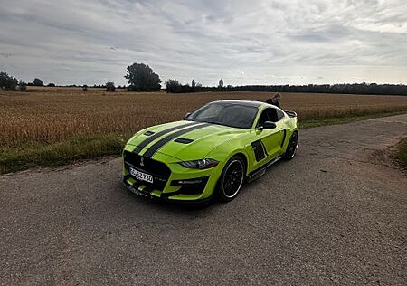 Ford Mustang 5.0 Shelby 500 Optik