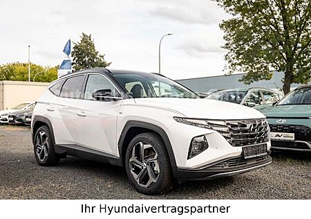 Hyundai Tucson Prime Mild-Hybrid 4WD DACHLACKIERUNG