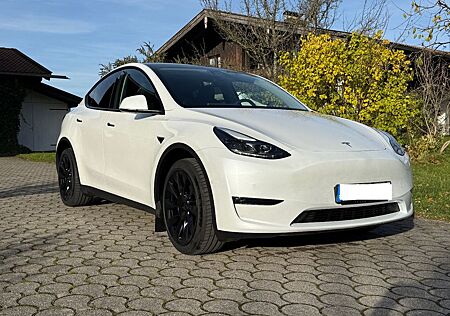 Tesla Model Y Long Range Dual Motor AWD, Induction