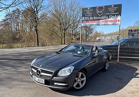 Mercedes-Benz SLK 250 SLK Roadster BlueEfficiency