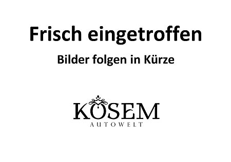 Mercedes-Benz E 250 CGI Automatik AMG Line Sport Paket Leder