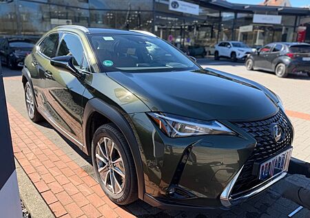 Lexus UX 300e - ACC-Belü.Sitze-Memory-Leder-Kamera-17Z
