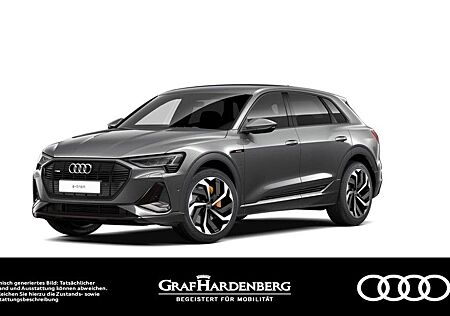 Audi e-tron 55 quattro S line LED Navi ACC HuD