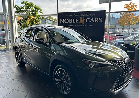 Lexus UX 250 h Luxury PANO 360°