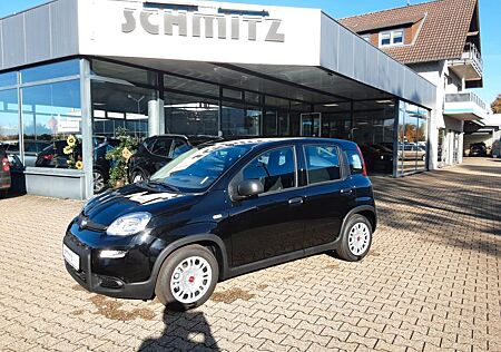 Fiat Panda Firefly Klima E. Fenster ZVF