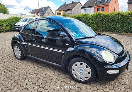 VW New Beetle Volkswagen