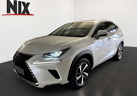 Lexus NX 300 NX 300h E-FOUR Luxury Line 360° KAMERA NAVI SHZ